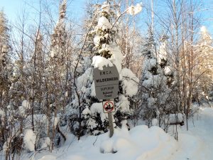 Winter Boundary Waters Hikes