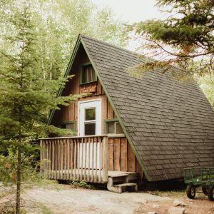 Timber Wolf Bunk Sleeps 10